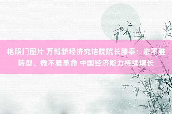 艳照门图片 万博新经济究诘院院长滕泰：宏不雅转型、微不雅革命 中国经济能力持续增长
