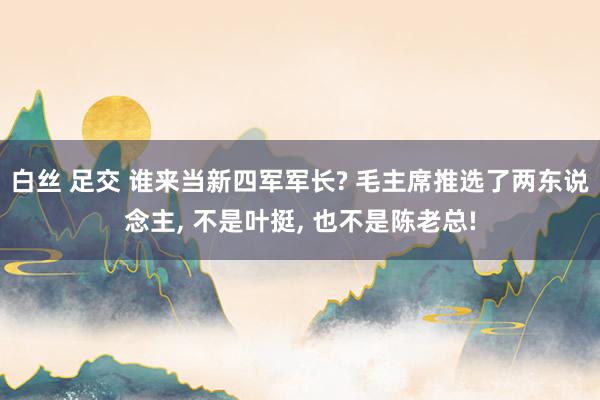 白丝 足交 谁来当新四军军长? 毛主席推选了两东说念主， 不是叶挺， 也不是陈老总!