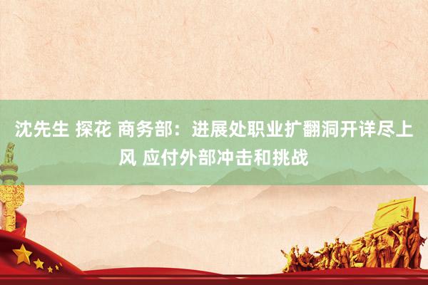 沈先生 探花 商务部：进展处职业扩翻洞开详尽上风 应付外部冲击和挑战