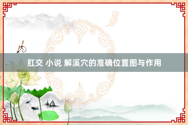 肛交 小说 解溪穴的准确位置图与作用